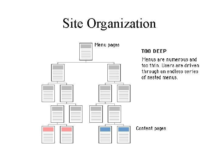 Site Organization 