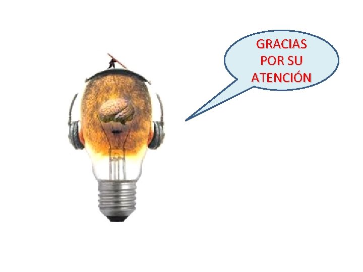 GRACIAS POR SU ATENCIÓN 