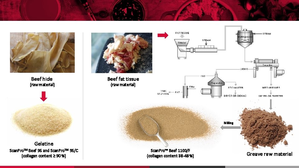 Beef hide (raw material) Beef fat tissue (raw material) Milling Gelatine Scan. Pro. TM