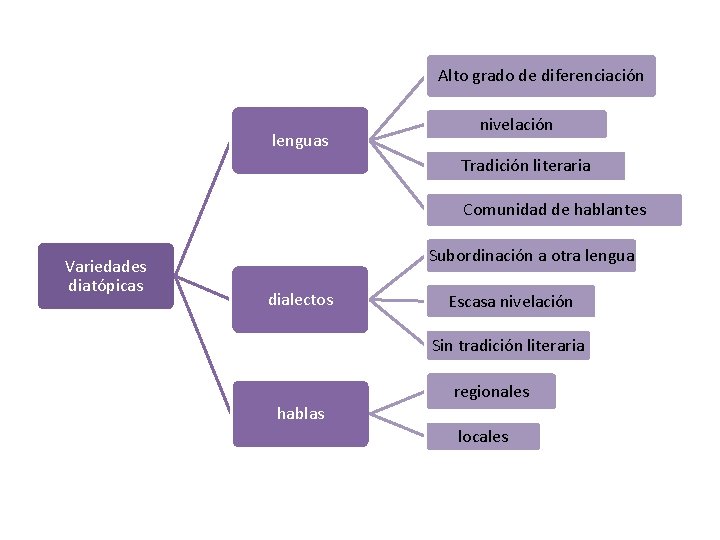Alto grado de diferenciación lenguas nivelación Tradición literaria Comunidad de hablantes Variedades diatópicas Subordinación