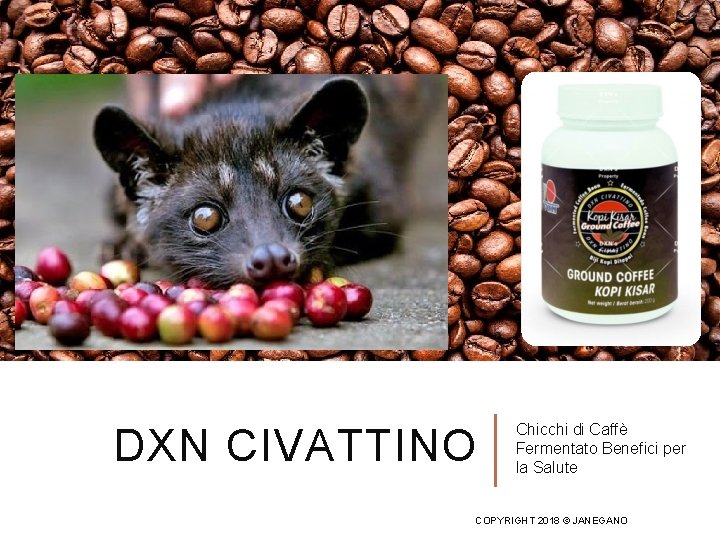 DXN CIVATTINO Chicchi di Caffè Fermentato Benefici per la Salute COPYRIGHT 2018 © JANEGANO