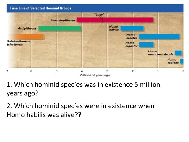 1. Which hominid species was in existence 5 million years ago? 2. Which hominid