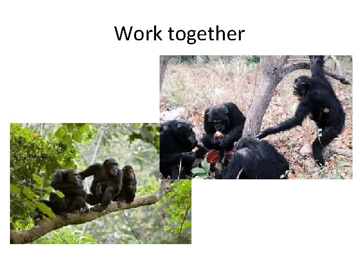 Work together 