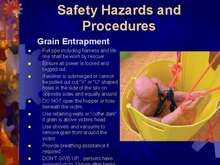 Safety Hazards and Procedures Grain Entrapment ® ® ® ® Full ppe including harness