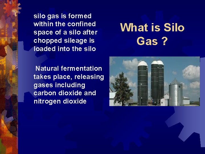 silo gas is formed within the confined space of a silo after chopped sileage