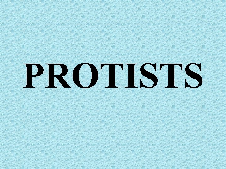 PROTISTS 