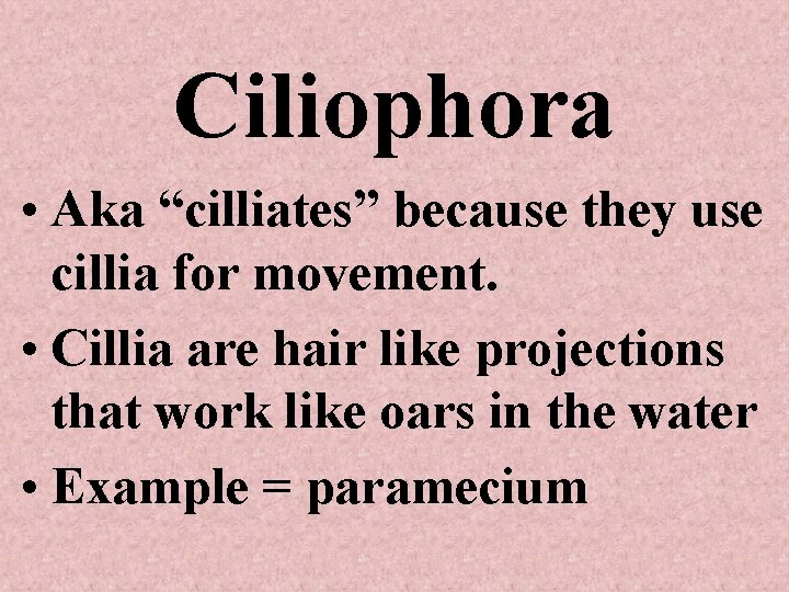 Ciliophora • Aka “cilliates” because they use cillia for movement. • Cillia are hair