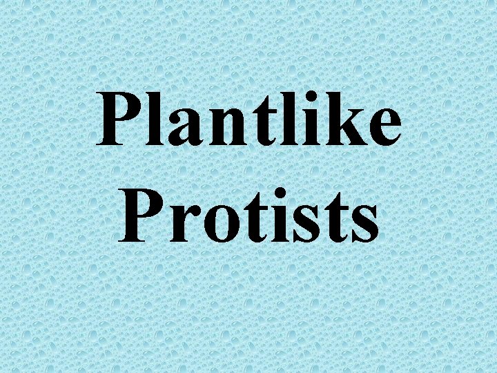 Plantlike Protists 