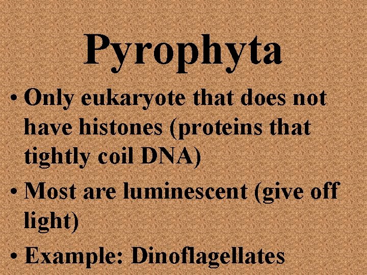 Pyrophyta • Only eukaryote that does not have histones (proteins that tightly coil DNA)