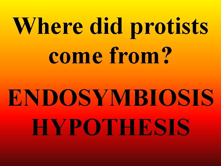 Where did protists come from? ENDOSYMBIOSIS HYPOTHESIS 