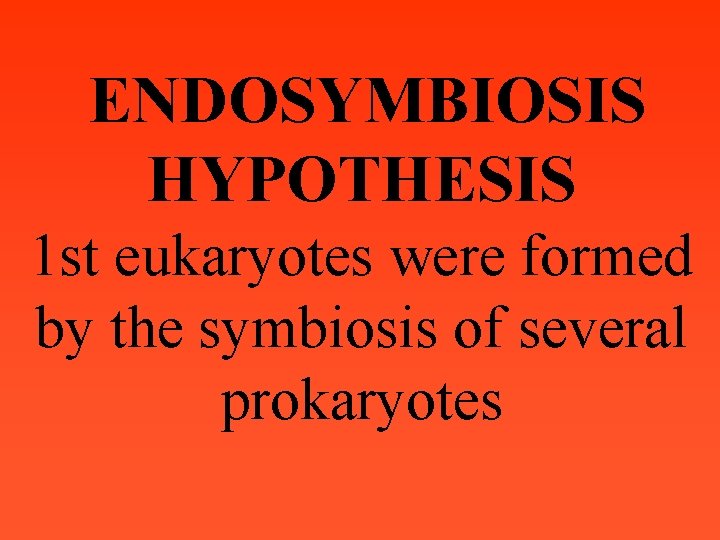 ENDOSYMBIOSIS HYPOTHESIS 1 st eukaryotes were formed by the symbiosis of several prokaryotes 