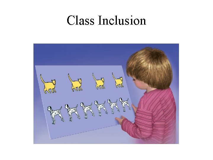 Class Inclusion 
