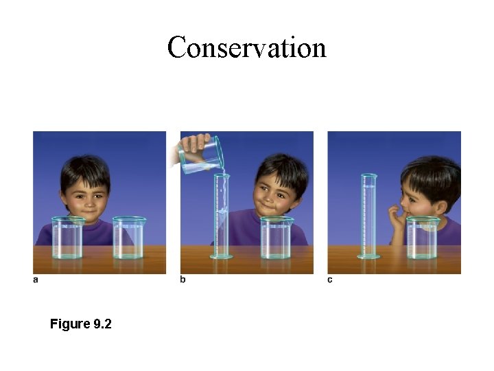 Conservation Figure 9. 2 