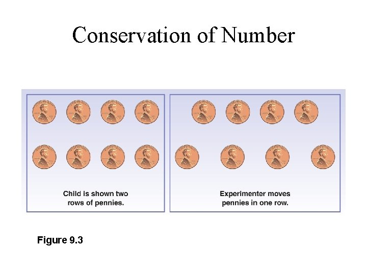 Conservation of Number Figure 9. 3 