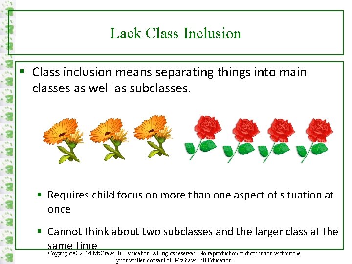 Lack Class Inclusion § Class inclusion means separating things into main classes as well