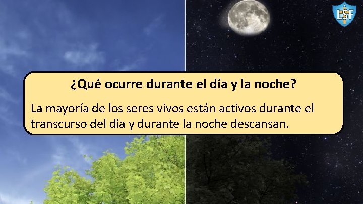 ¿Qué ocurre durante el día y la noche? La mayoría de los seres vivos