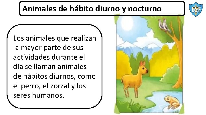 Animales de hábito diurno y nocturno Los animales que realizan la mayor parte de