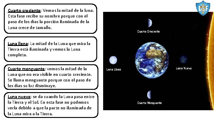 Cuarto creciente: Vemos la mitad de la luna. Esta fase recibe su nombre porque
