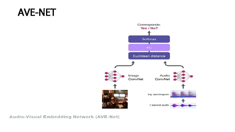 AVE-NET 