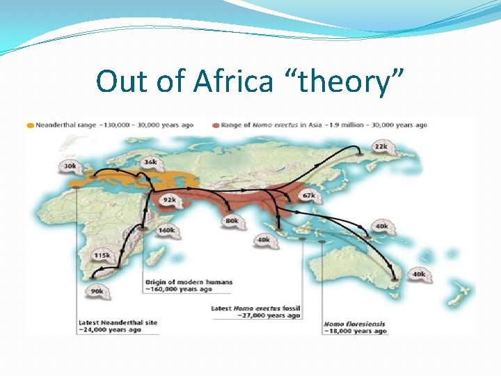Out of Africa “theory” 