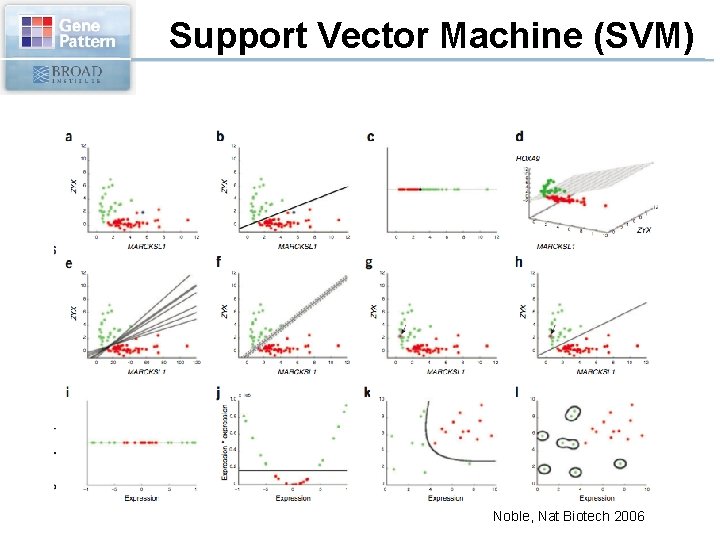 Support Vector Machine (SVM) Noble, Nat Biotech 2006 