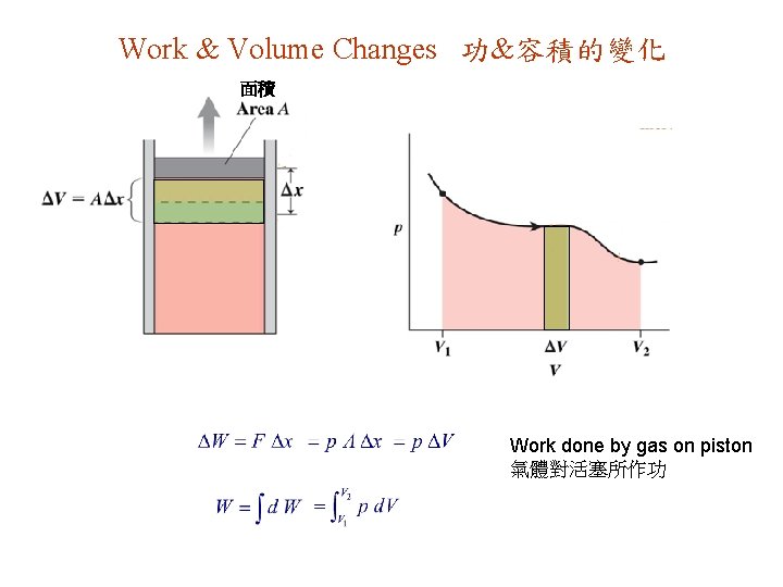 Work & Volume Changes 功&容積的變化 面積 Work done by gas on piston 氣體對活塞所作功 