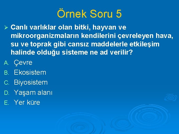 Örnek Soru 5 Canlı varlıklar olan bitki, hayvan ve mikroorganizmaların kendilerini çevreleyen hava, su