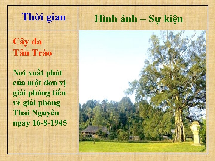 Thời gian Cây đa Tân Trào Nơi xuất phát của một đơn vị giải