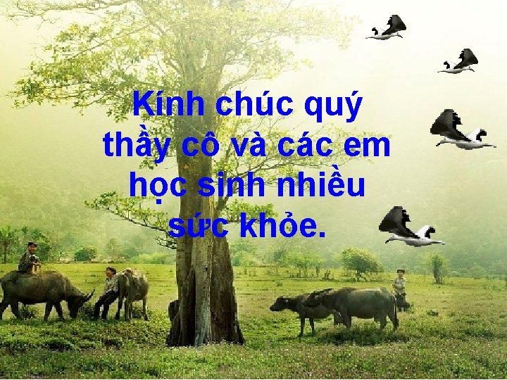 Kính chúc quý thầy cô và các em học sinh nhiều sức khỏe. 