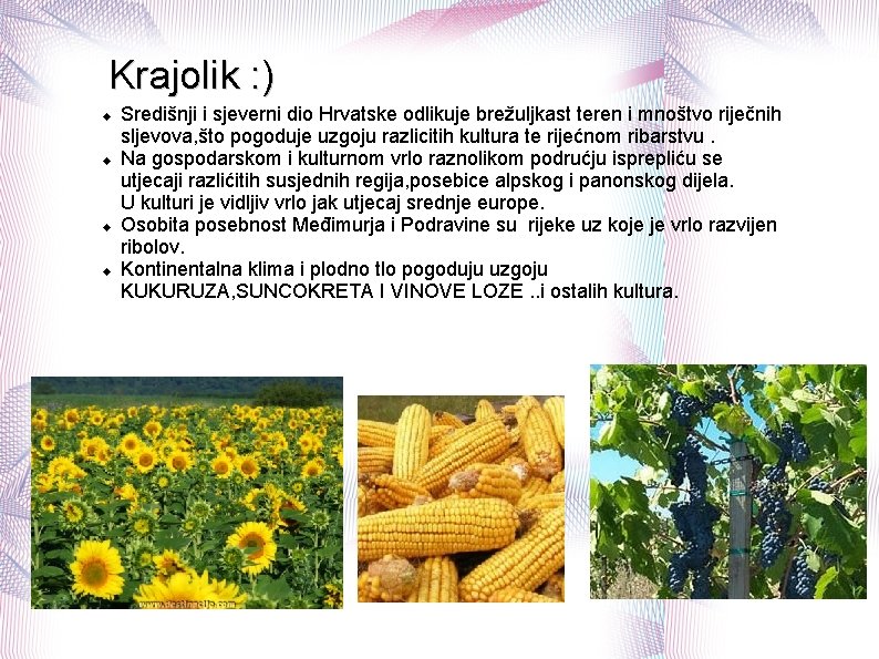 Krajolik : ) Središnji i sjeverni dio Hrvatske odlikuje brežuljkast teren i mnoštvo riječnih