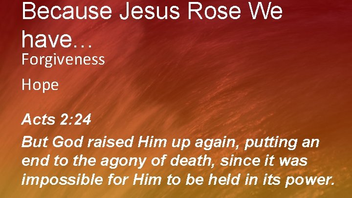 Because Jesus Rose We have… Forgiveness Hope Acts 2: 24 But God raised Him
