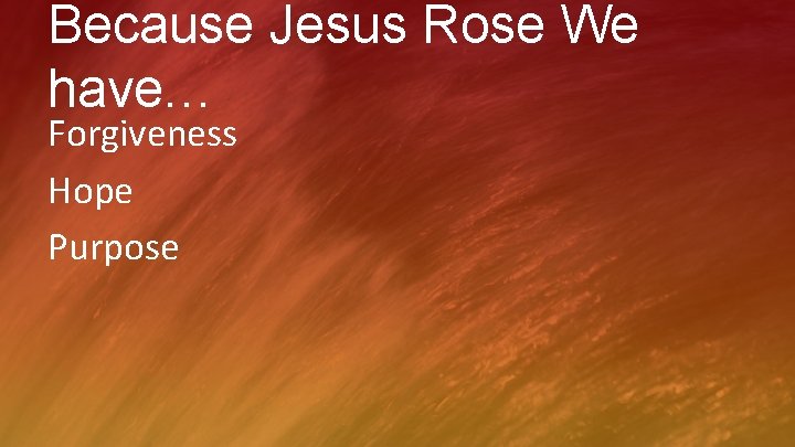 Because Jesus Rose We have… Forgiveness Hope Purpose 