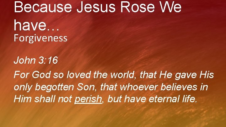 Because Jesus Rose We have… Forgiveness John 3: 16 For God so loved the