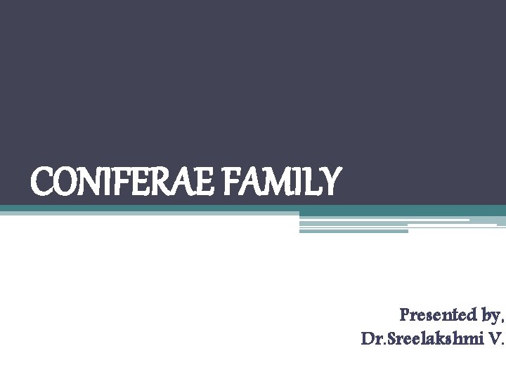 CONIFERAE FAMILY Presented by, Dr. Sreelakshmi V. 