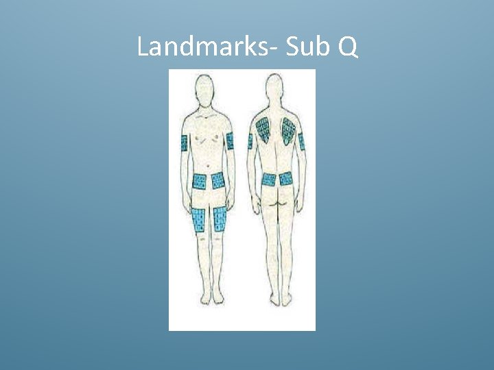 Landmarks- Sub Q 