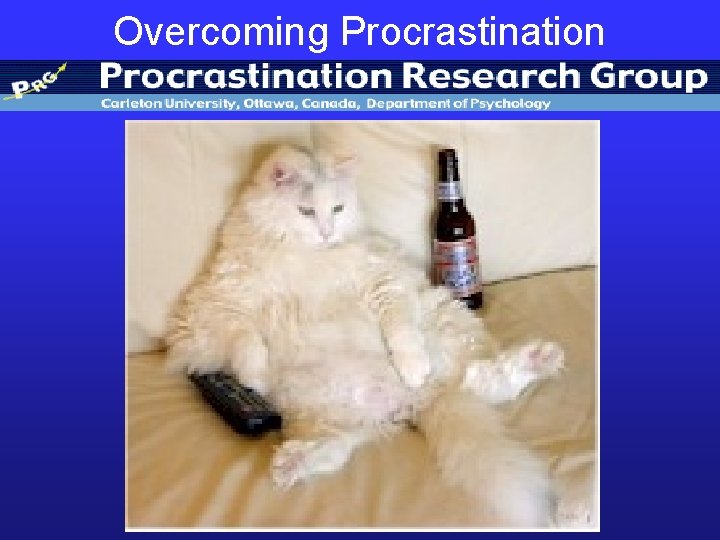 Overcoming Procrastination 