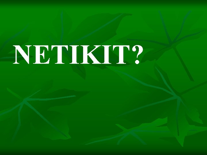 NETIKIT? 