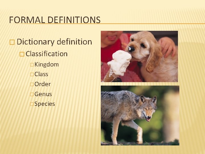 FORMAL DEFINITIONS � Dictionary definition � Classification � Kingdom � Class � Order �
