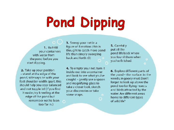 Pond Dipping 