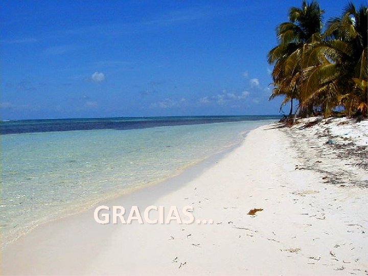 GRACIAS… 