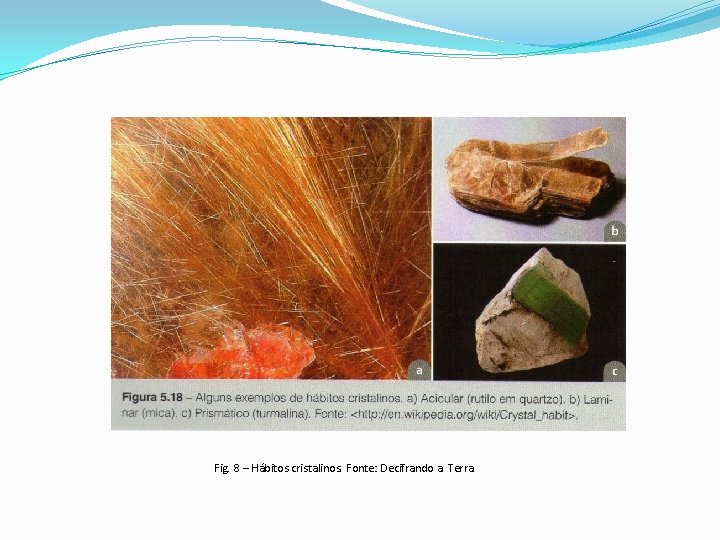 Fig. 8 – Hábitos cristalinos. Fonte: Decifrando a Terra 