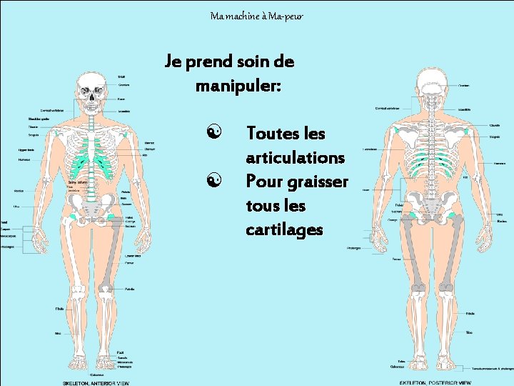 Ma machine à Ma-peur Je prend soin de manipuler: [ [ Toutes les articulations