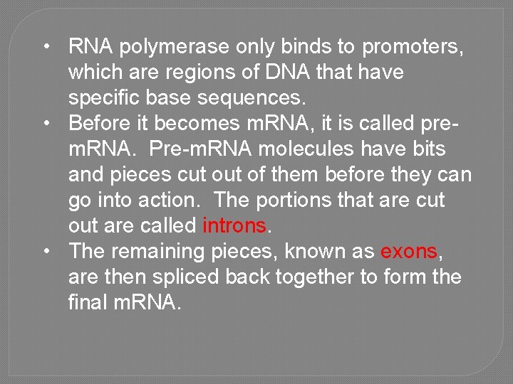  • RNA polymerase only binds to promoters, which are regions of DNA that