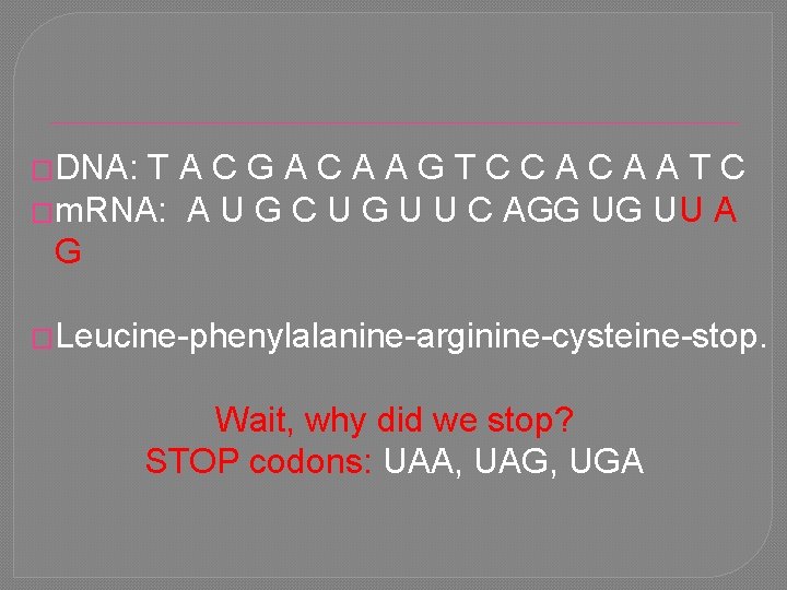 �DNA: TACGACAAGTCCACAATC �m. RNA: A U G C U G U U C AGG