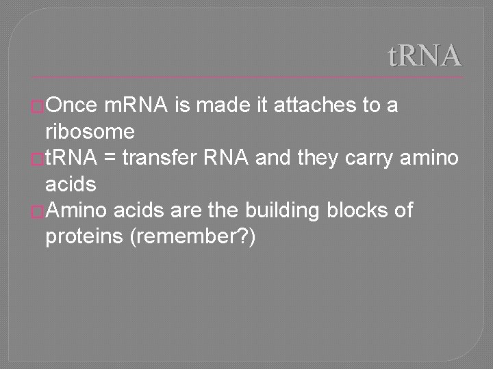 t. RNA �Once m. RNA is made it attaches to a ribosome �t. RNA