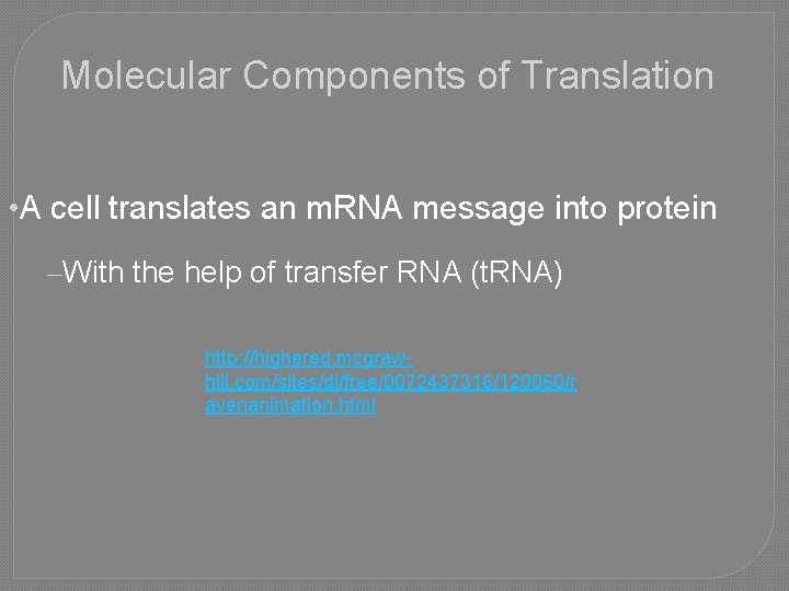 Molecular Components of Translation • A cell translates an m. RNA message into protein