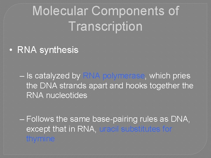 Molecular Components of Transcription • RNA synthesis – Is catalyzed by RNA polymerase, which