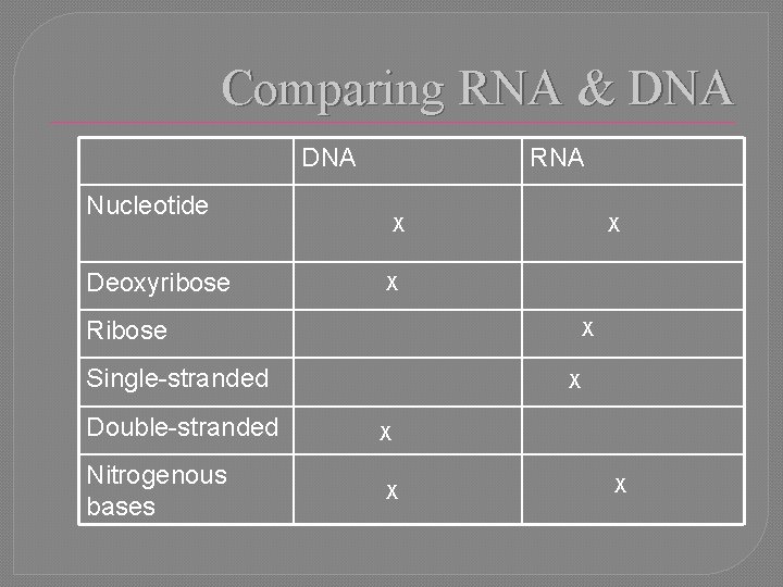 Comparing RNA & DNA RNA Nucleotide Deoxyribose X X X Ribose X Single-stranded Double-stranded
