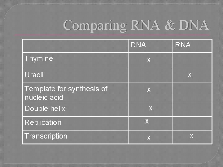 Comparing RNA & DNA Thymine RNA X Uracil Template for synthesis of nucleic acid