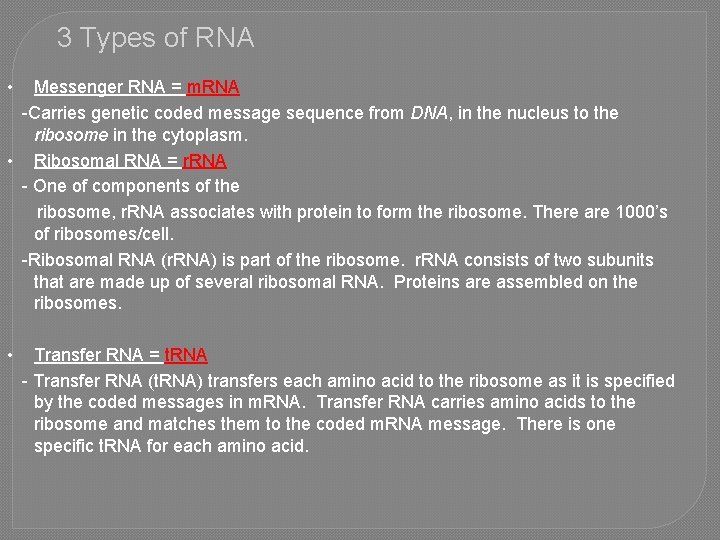 3 Types of RNA • Messenger RNA = m. RNA -Carries genetic coded message